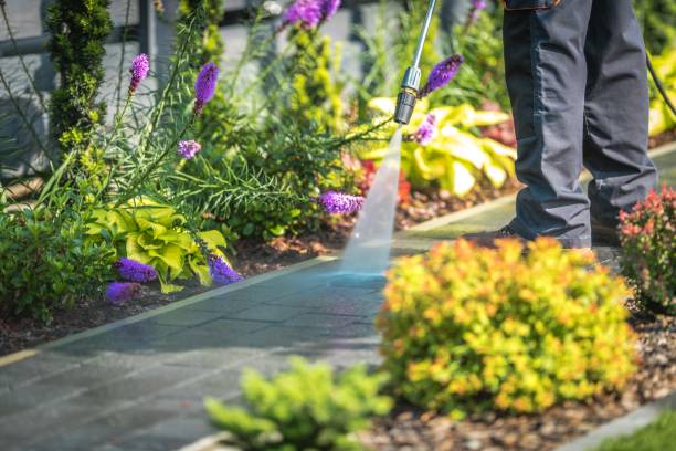 Best Winterizing Services  in Lead, SD